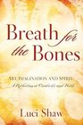 Breath for the Bones Art Imagination and Spirit  A Reflection on Creativity and Faith