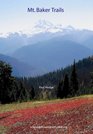 Mt Rainier Trails