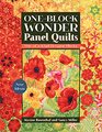 OneBlock Wonder Panel Quilts New Ideas OneofaKind Hexagon Blocks