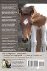 The Hoofprints Guide to the Wild Horses of Ocracoke Island NC