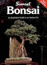 Bonsai  An Illustrated Guide to an Ancient Art
