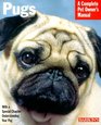 Pugs Everything About Purchase Care Nutrition Behavior and Training