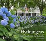 Hydrangeas Cape Cod and the Islands