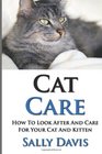 Cat Care How To Look After And Care For Your Cat And Kitten