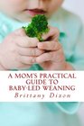 A Mom's Practical Guide to Baby-Led Weaning