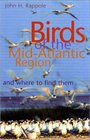 Birds of the MidAtlantic Region and Where to Find Them