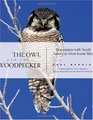 The Owl and the Woodpecker: Encounters With North America's Most Iconic Birds