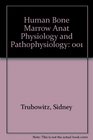 Human Bone Marrow Anat Physiology  Pathophysiology