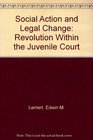 Social Action and Legal Change Revolution Within the Juvenile Court