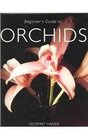 Beginner's Guide to Orchids