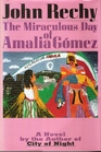 The Miraculous Day of Amalia Gomez A Novel