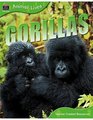 Animal Lives Gorillas