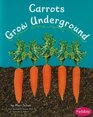 Carrots Grow Underground (Pebble Books: How Fruits and Vegetables Grow)