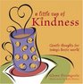 A Little Cup of Kindness Gentle Thoughts for Today's Hectic World