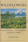 Wild Flowers of Yellowstone and Grand Teton National Parks