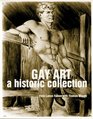 Gay Art A Historic Collection