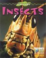 Insects