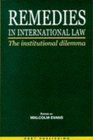 Remedies in International Law The Institutional Dilemma