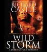 Wild Storm A Derrick Storm Thriller