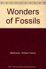 Wonders of Fossils