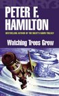 Watching Trees Grow/Tendeleos Story