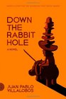 Down the Rabbit Hole: A Novel