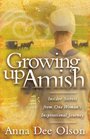 Growing Up Amish Insider Secrets from One Woman's Inspirational Journey