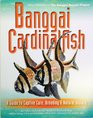 Banggai Cardinalfish A Guide to Captive Care Breeding  Natural History