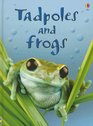 Tadpoles and Frogs (Beginners Nature, Level 1)