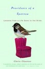 Providence of a Sparrow : Lessons from a Life Gone to the Birds