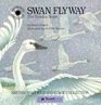 Swan Flyway The Tundra Swan