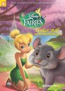 Disney Fairies Graphic Novel 11 Tinker Bell and the Most Precious Gift