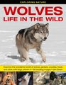 Exploring Nature Wolves  Life In The Wild Examine The Wonderful World Of Wolves Jackals Coyotes Foxes And Other Wild Dogs Shown In 190 Exciting Images