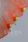 Seeds A Natural History