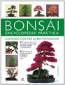 Bonsai Enciclopedia Practica / The Complete Practical Encyclopedia of Bonsai Manual escencial con mas de 800 fotografias para crear cultivar y  Growing and Displa