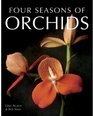 Four Seasons of Orchids