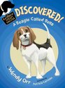 DISCOVERED A Beagle Called Bella