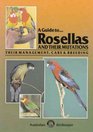 A Guide to Rosellas and Their Mutations Their Management Care  Breeding