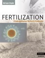 Fertilization From Gametes to Early Embryos