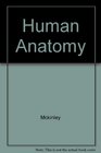 Human Anatomy