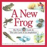 A New Frog: My First Look at the Life Cycle of an Amphibian (My First Look at Nature)