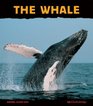 The Whale Giant of the Ocean
