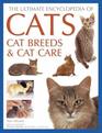 The Ultimate Encyclopedia Of Cats Breeds  Cat Care