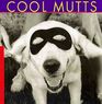 Cool Mutts