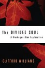 The Divided Soul A Kierkegaardian Exploration