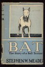 Bat The Story of a Bull Terrier