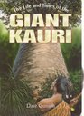 Life and Times of the Giant Kauri