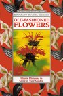 OldFashioned Flowers