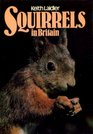 Squirrels in Britain