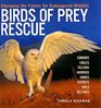 Birds Of Prey Rescue